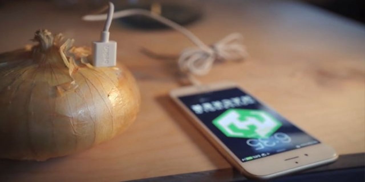Çok şaşırtıcı ama gerçek Soğanla Cep Telefonu Şarj edebilirsiniz